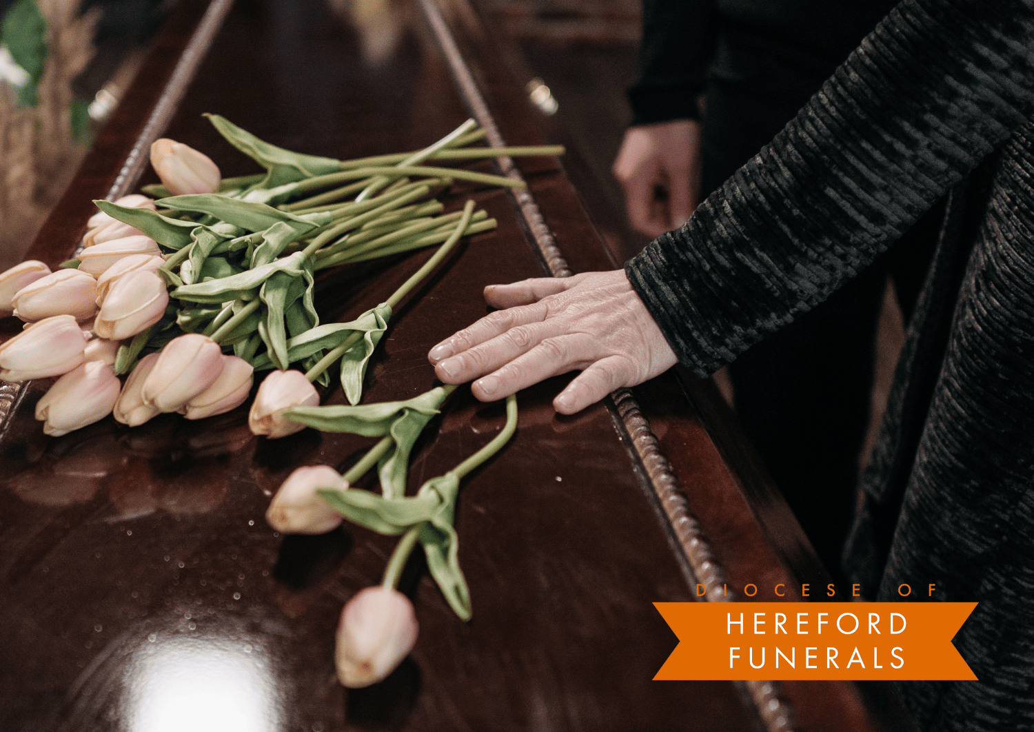 Tulips on a coffin with a woman's hand in a black coat touching the wooden coffin