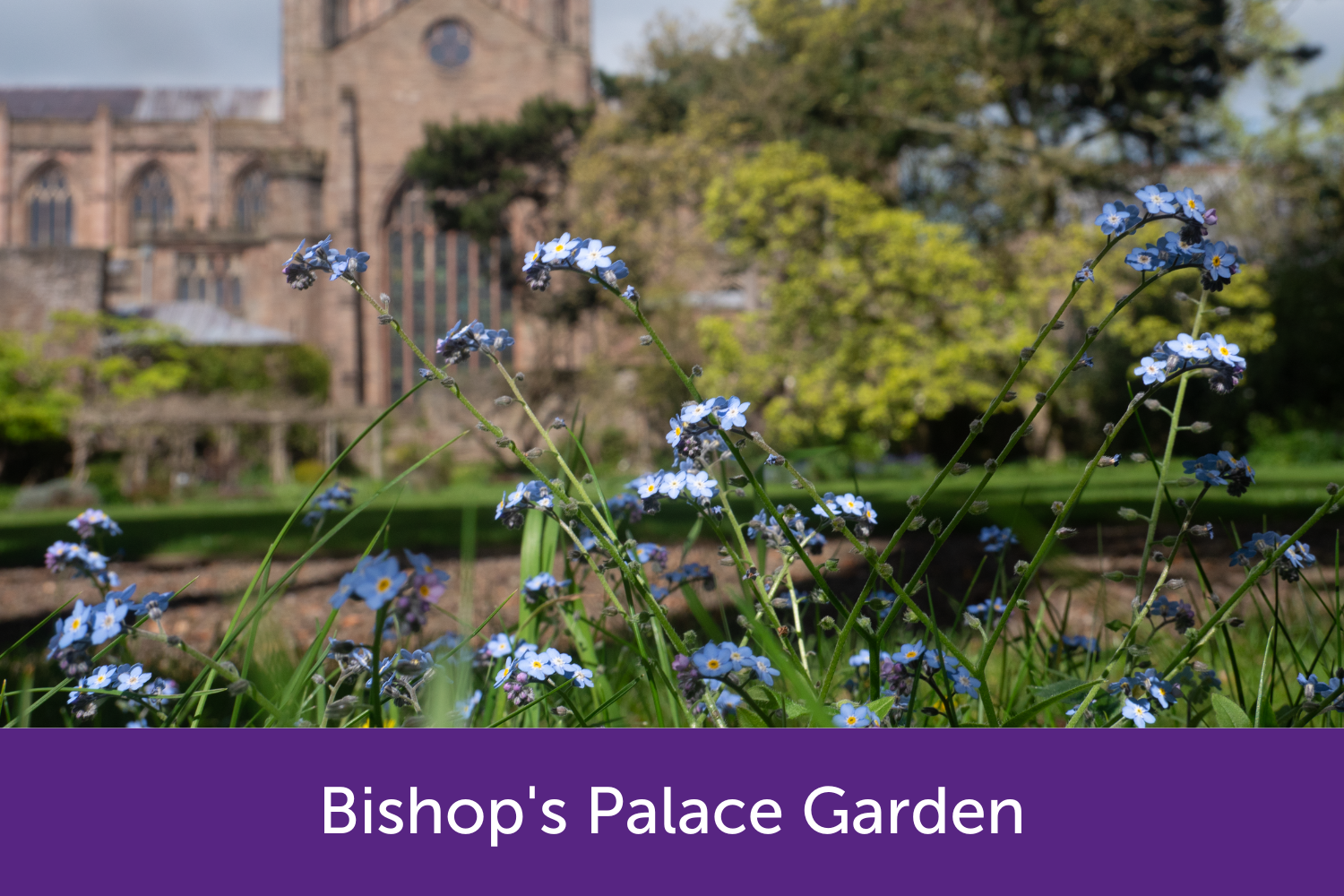 Bishop's Garden with some flowers
