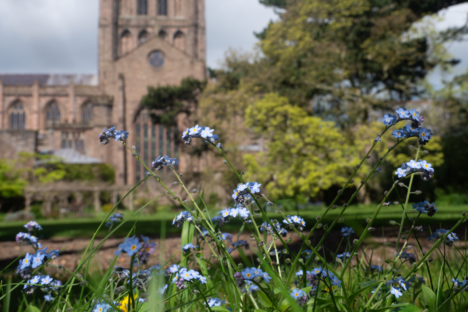 Bishop's Palace Garden