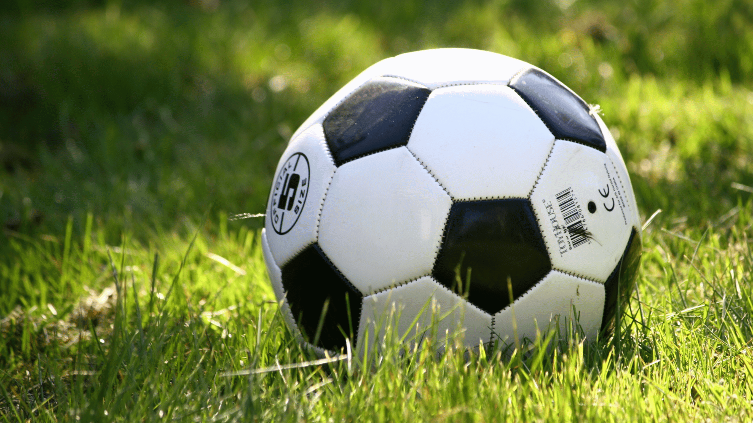 football resting on grass