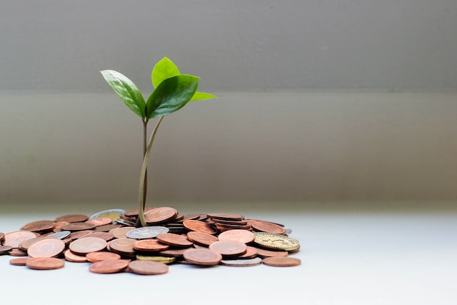 Plant shoot in a pile of money