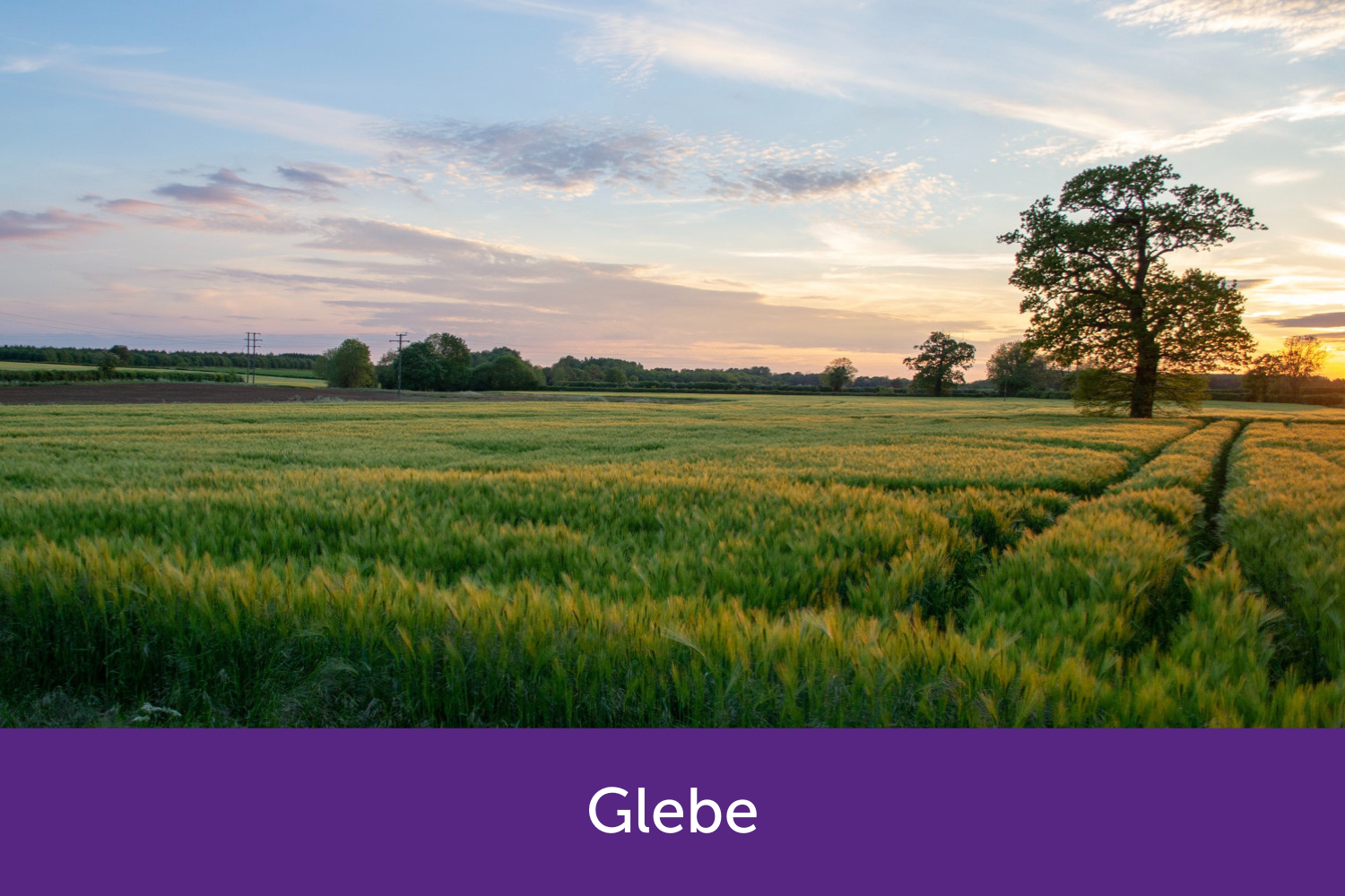 Countryside with sunset