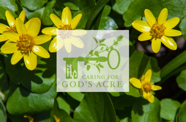 Feb 25 Gods Arce.png