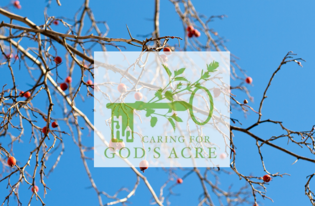 God's Acre Article November 2023