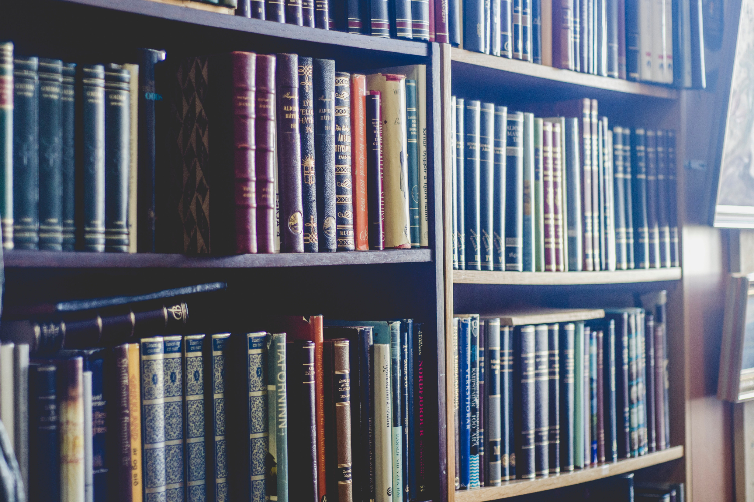 Image of books in a library