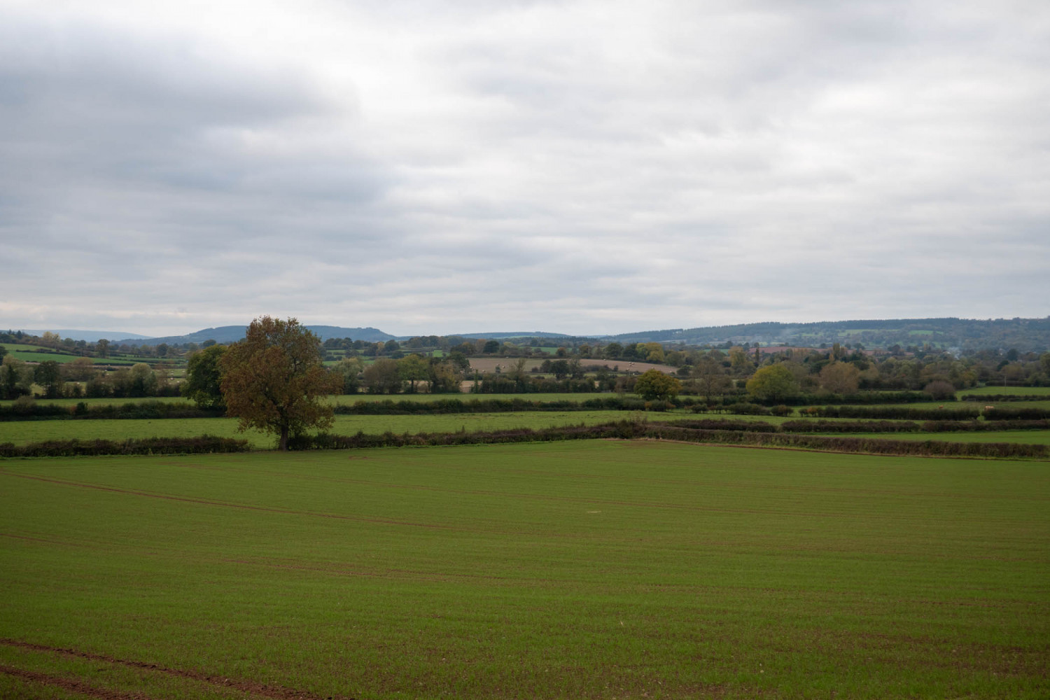 Previous Bishops of Hereford