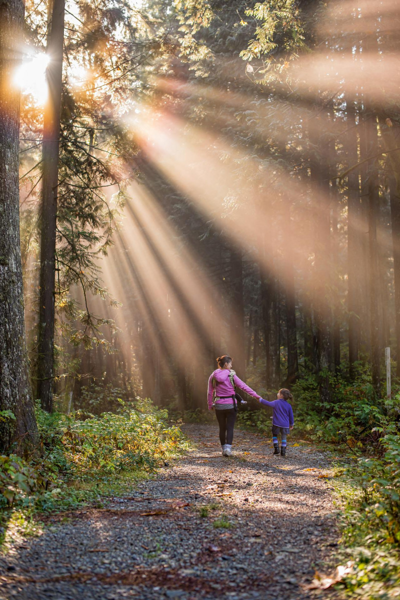  family lit by sun walking through wood