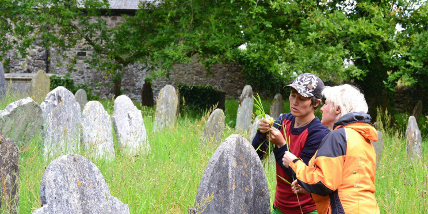 Churches Count on Nature, two people stood in churchyard looking at grass